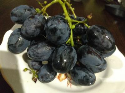 Прикрепленное изображение: IMG_20200731_201948_resize_4.jpg